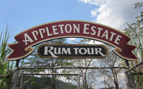 Appleton Estate Rum Factory Tour